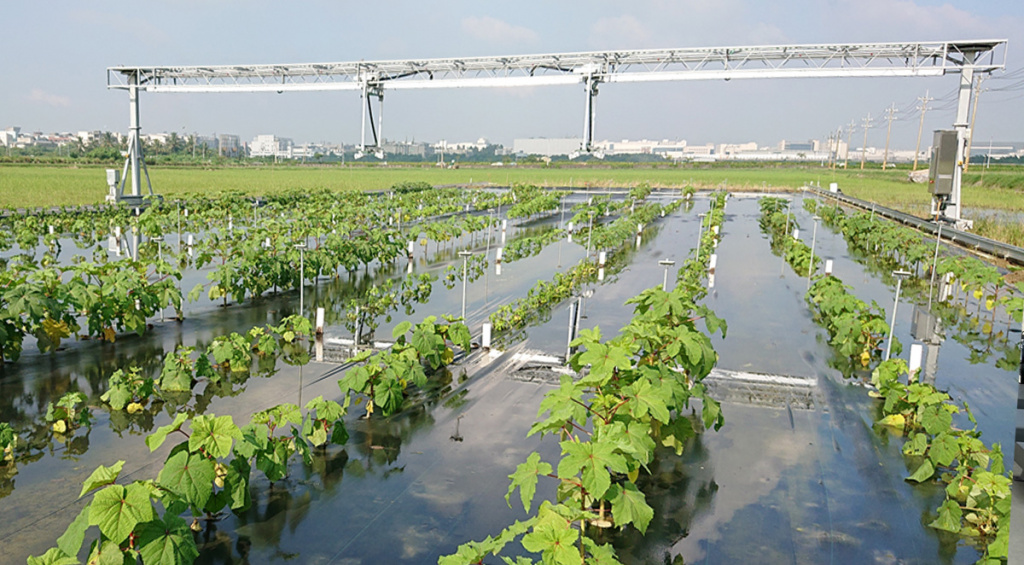 FieldScan plant phenotyping in the field - Taiwan 3.jpg FieldScan plant phenotyping in the field - Taiwan 3.jpg